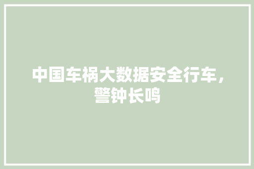 中国车祸大数据安全行车，警钟长鸣