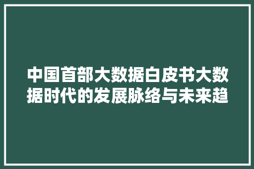 中国首部大数据白皮书大数据时代的发展脉络与未来趋势