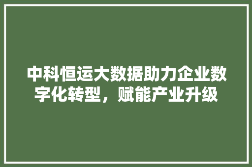 中科恒运大数据助力企业数字化转型，赋能产业升级