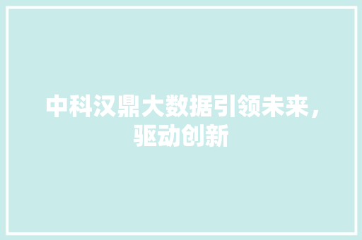 中科汉鼎大数据引领未来，驱动创新