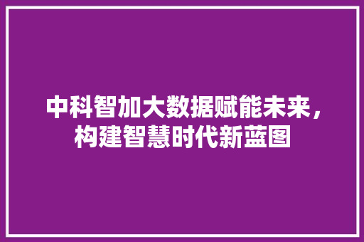 中科智加大数据赋能未来，构建智慧时代新蓝图