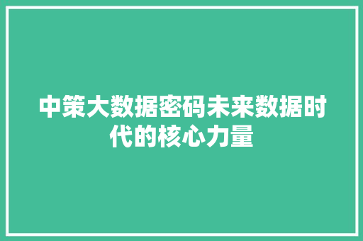 中策大数据密码未来数据时代的核心力量