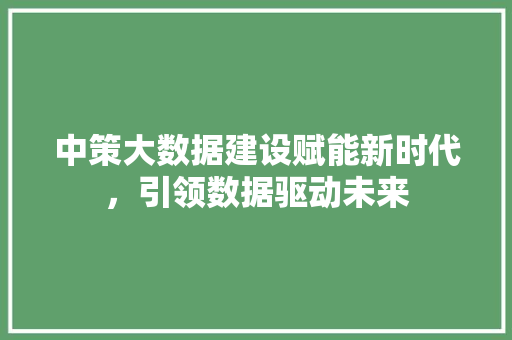 中策大数据建设赋能新时代，引领数据驱动未来