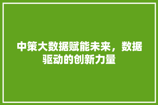 中策大数据赋能未来，数据驱动的创新力量