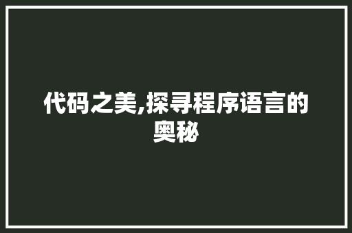 代码之美,探寻程序语言的奥秘