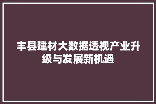 丰县建材大数据透视产业升级与发展新机遇