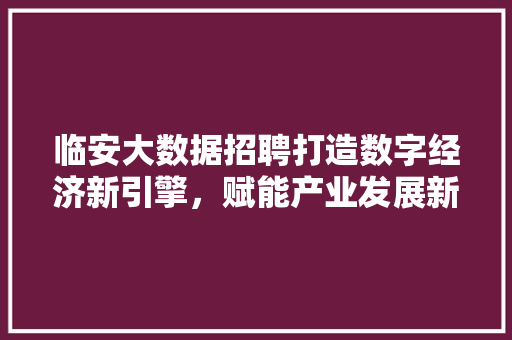 临安大数据招聘打造数字经济新引擎，赋能产业发展新格局