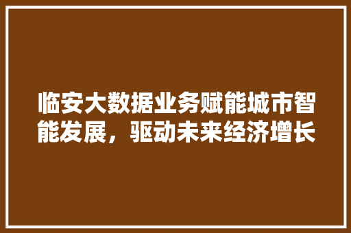 临安大数据业务赋能城市智能发展，驱动未来经济增长 建站教程