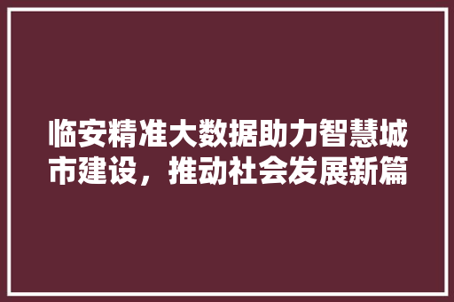 临安精准大数据助力智慧城市建设，推动社会发展新篇章