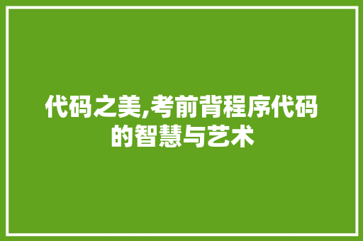 代码之美,考前背程序代码的智慧与艺术