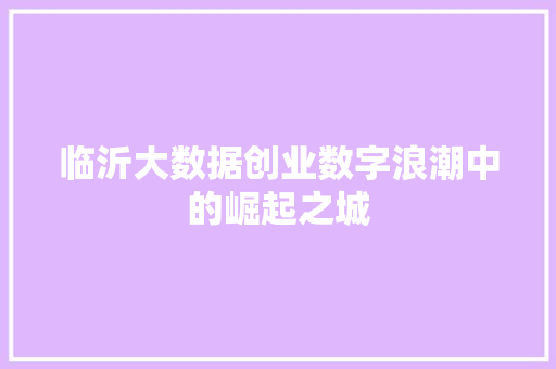 临沂大数据创业数字浪潮中的崛起之城