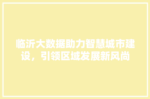 临沂大数据助力智慧城市建设，引领区域发展新风尚