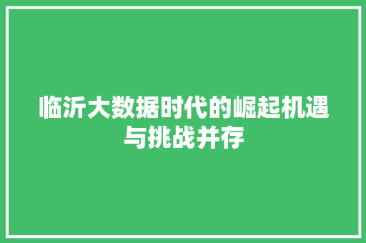 临沂大数据时代的崛起机遇与挑战并存