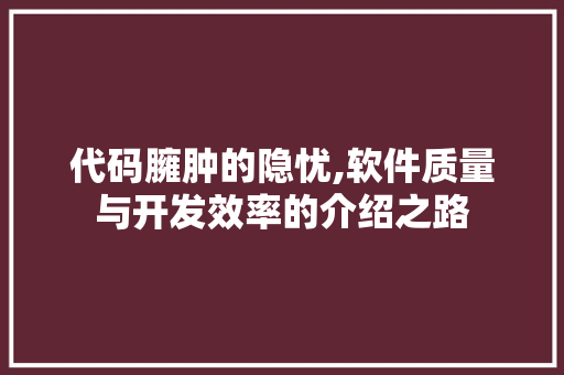 代码臃肿的隐忧,软件质量与开发效率的介绍之路