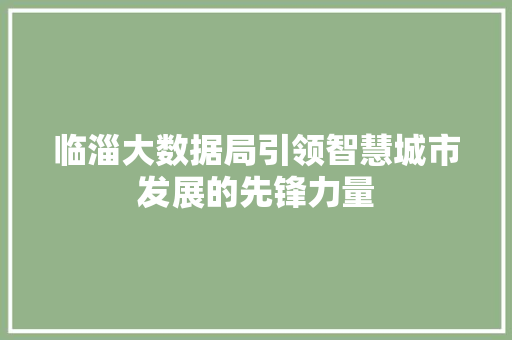 临淄大数据局引领智慧城市发展的先锋力量