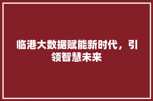 临港大数据赋能新时代，引领智慧未来