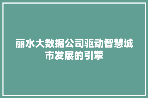 丽水大数据公司驱动智慧城市发展的引擎