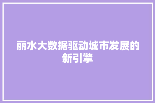 丽水大数据驱动城市发展的新引擎