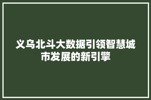 义乌北斗大数据引领智慧城市发展的新引擎