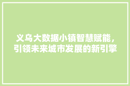 义乌大数据小镇智慧赋能，引领未来城市发展的新引擎