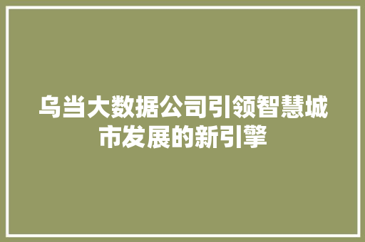 乌当大数据公司引领智慧城市发展的新引擎