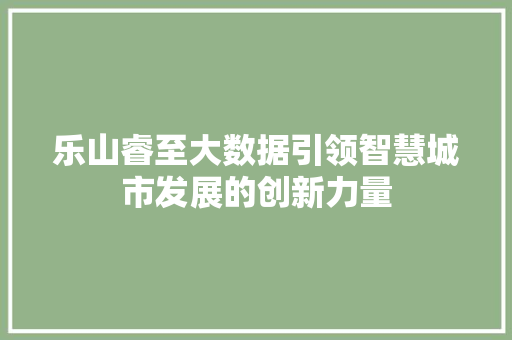 乐山睿至大数据引领智慧城市发展的创新力量