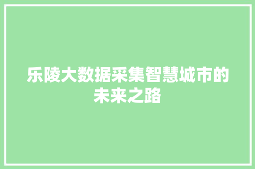 乐陵大数据采集智慧城市的未来之路