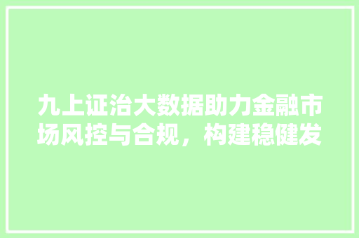 九上证治大数据助力金融市场风控与合规，构建稳健发展新格局