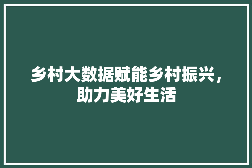 乡村大数据赋能乡村振兴，助力美好生活