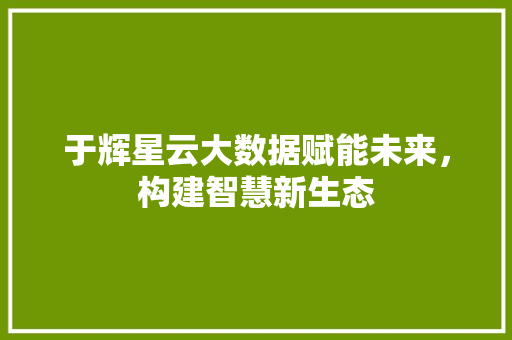 于辉星云大数据赋能未来，构建智慧新生态