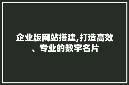 企业版网站搭建,打造高效、专业的数字名片