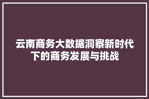 云南商务大数据洞察新时代下的商务发展与挑战