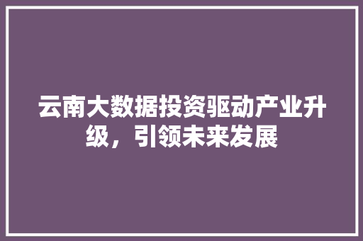 云南大数据投资驱动产业升级，引领未来发展