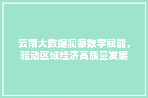 云南大数据洞察数字赋能，驱动区域经济高质量发展