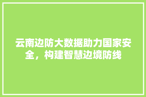 云南边防大数据助力国家安全，构建智慧边境防线