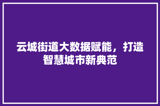 云城街道大数据赋能，打造智慧城市新典范