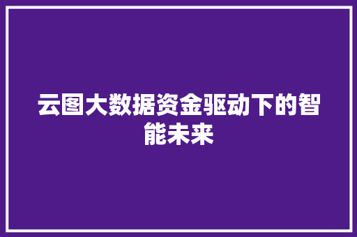 云图大数据资金驱动下的智能未来