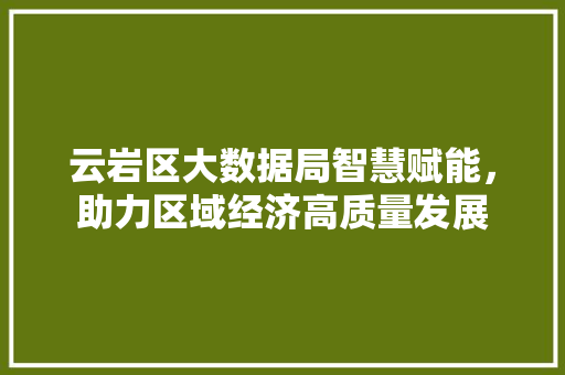 云岩区大数据局智慧赋能，助力区域经济高质量发展