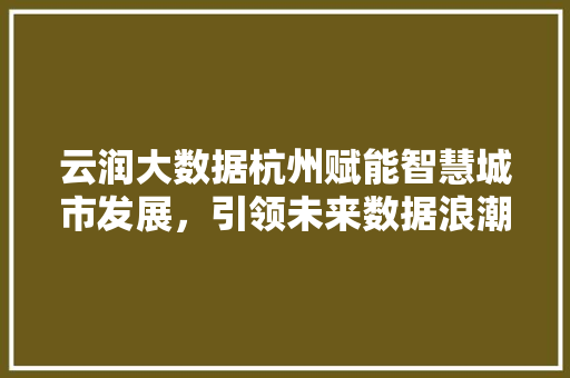 云润大数据杭州赋能智慧城市发展，引领未来数据浪潮