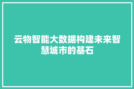 云物智能大数据构建未来智慧城市的基石
