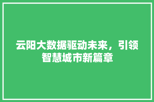 云阳大数据驱动未来，引领智慧城市新篇章
