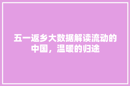 五一返乡大数据解读流动的中国，温暖的归途
