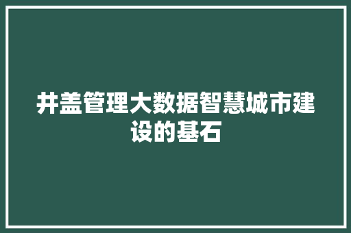 井盖管理大数据智慧城市建设的基石