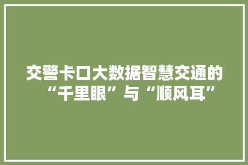 交警卡口大数据智慧交通的“千里眼”与“顺风耳”