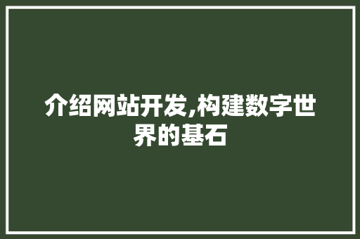 介绍网站开发,构建数字世界的基石