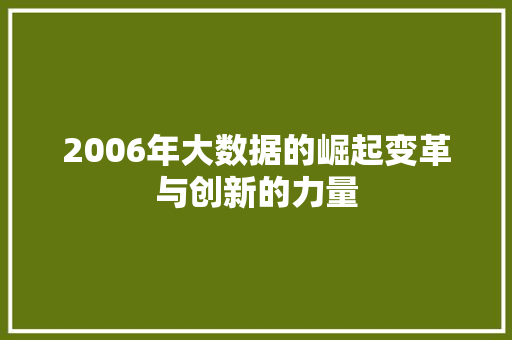 2006年大数据的崛起变革与创新的力量 建站教程