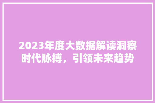 2023年度大数据解读洞察时代脉搏，引领未来趋势