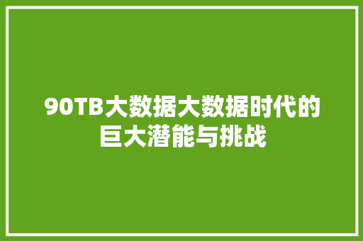 90TB大数据大数据时代的巨大潜能与挑战 建站教程