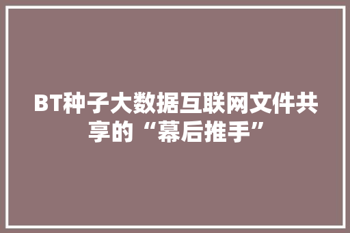 BT种子大数据互联网文件共享的“幕后推手”