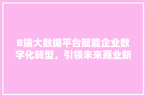 B端大数据平台赋能企业数字化转型，引领未来商业新格局